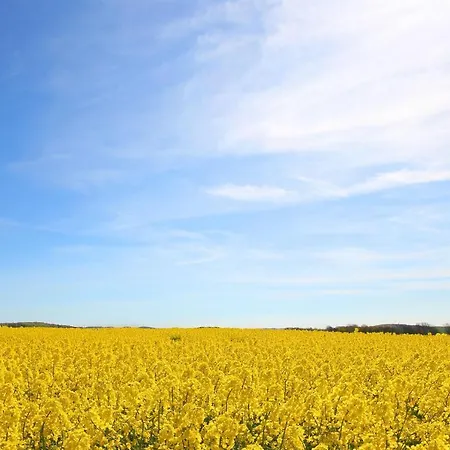 Hoeftresidenz Ferienwohnung 25 דירה *